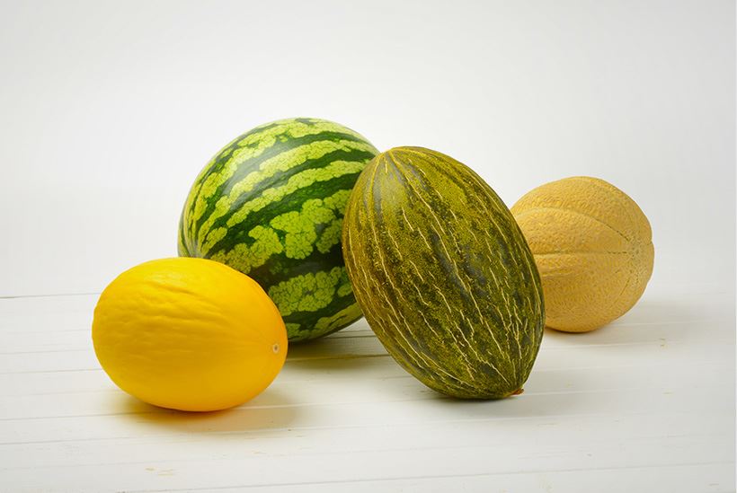 Sandía y melón de temporada