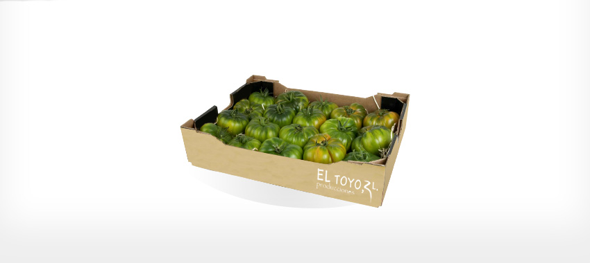 Tomate asurcado