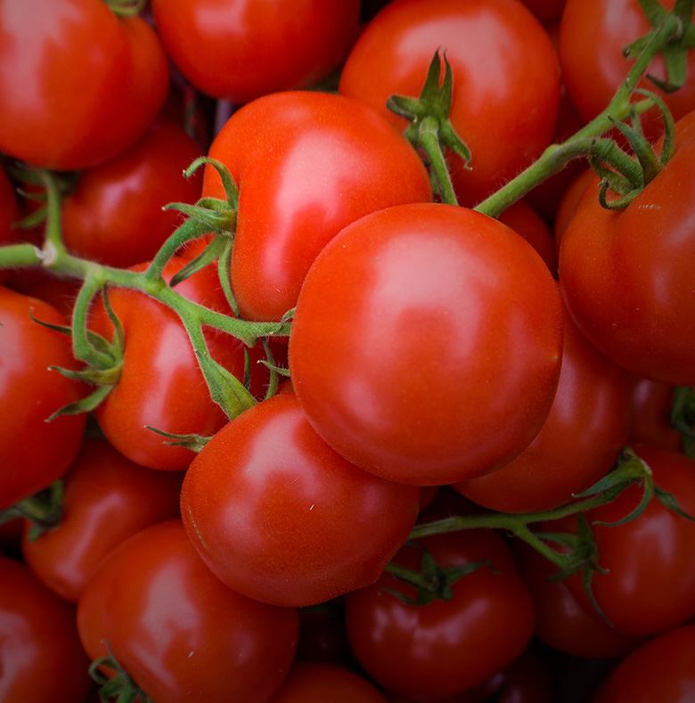 Tomates rojos de Producciones el Toyo