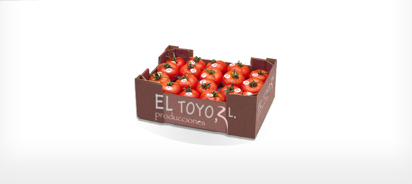 Tomate Long-Life en cartón alveolado