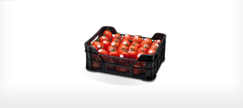 Tomate pera
