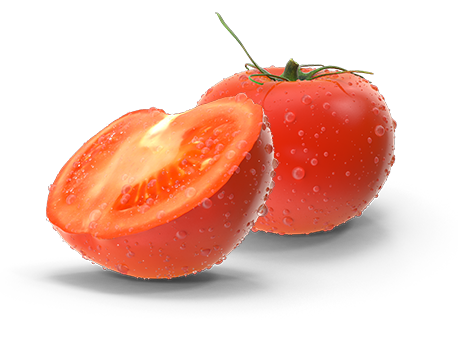producciones el toyo tomate